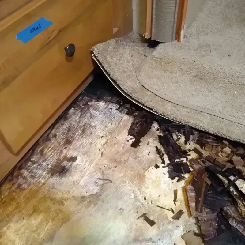 Best Wood Floor Water Damage Service in Ashford, WI